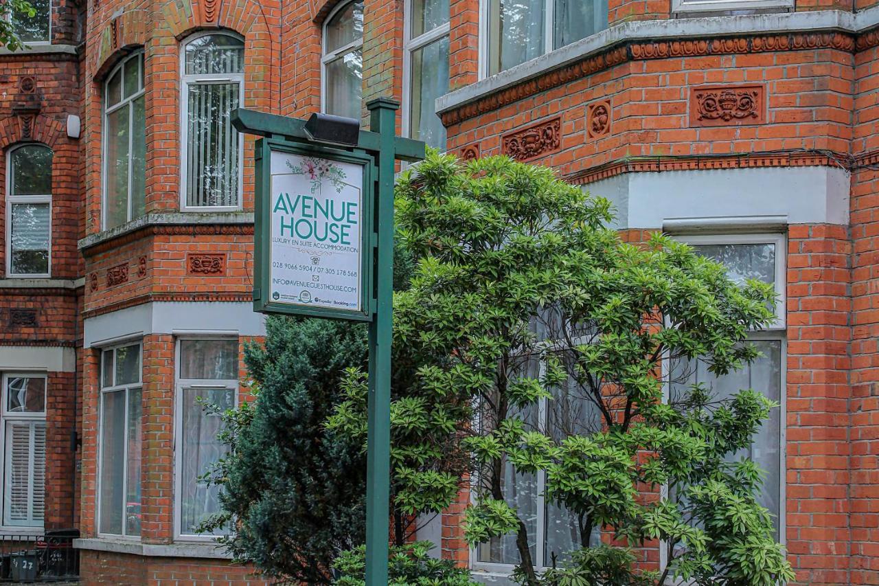 Avenue House Guest House Belfast Esterno foto